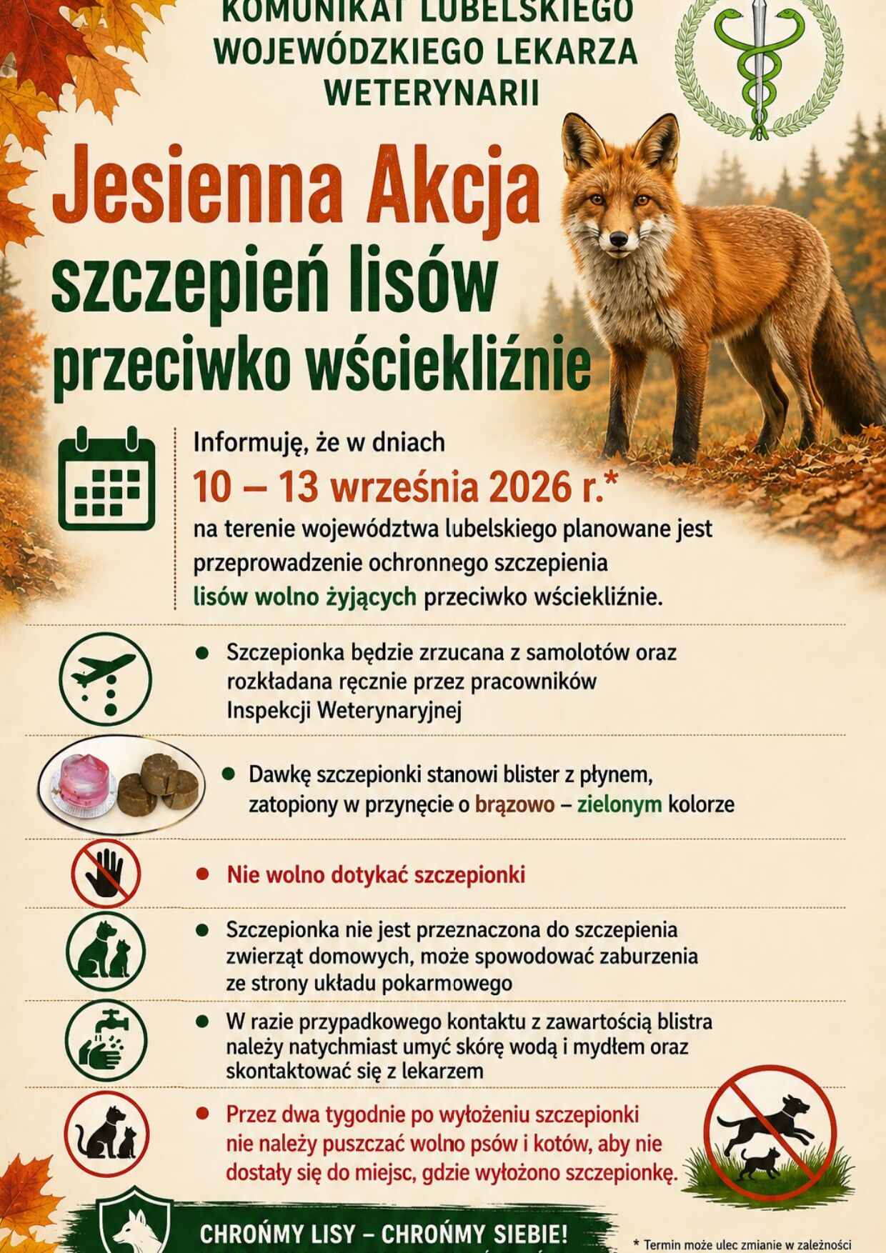 Plakat informujący o jesiennej akcji szczepień lis&oacute;w przeciwko wściekliźnie w Lubelskiem. Zawiera daty, piktogramy z instrukcjami oraz zdjęcie lisa na tle jesiennego krajobrazu.